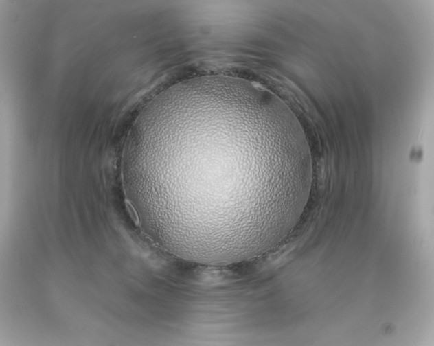 X0000091490372200709061906