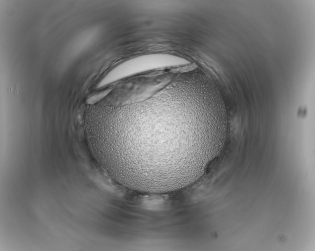 X0000091490373200709061906