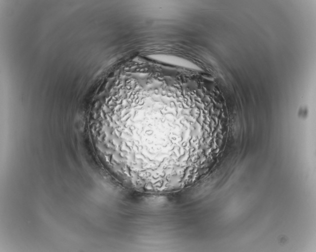 X0000091490374200709061906