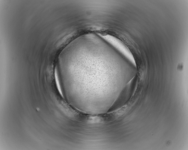 X0000091490376200709061906