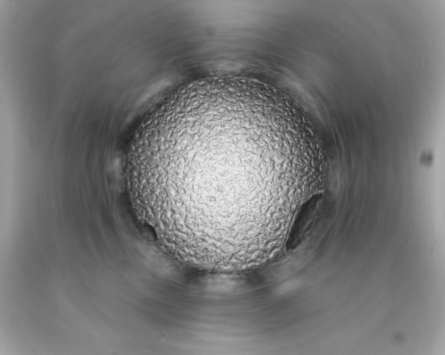 X0000091490378200709061906