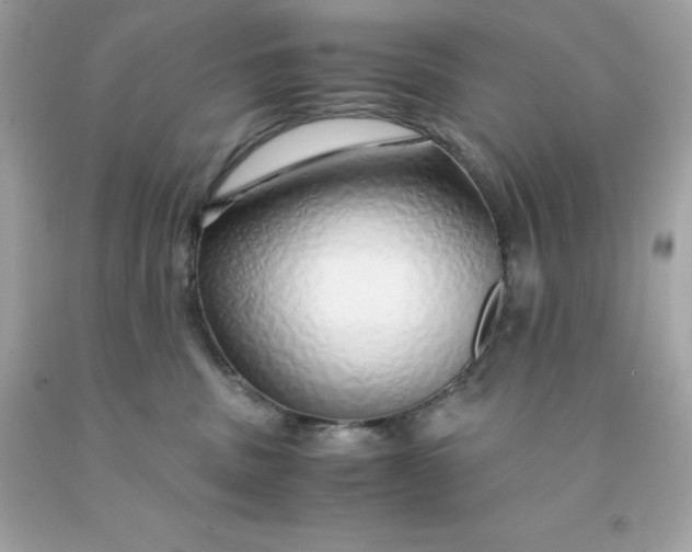 X0000091490379200709061906