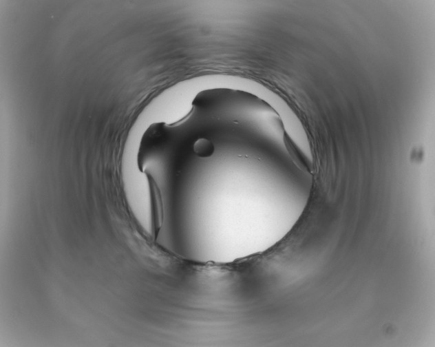 X0000091490380200709061906