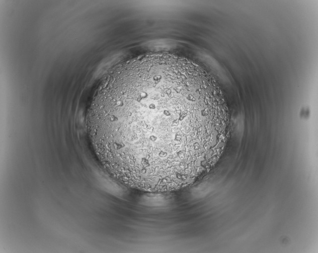 X0000091490381200709061906