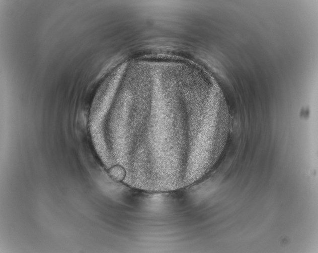 X0000091490382200709061906