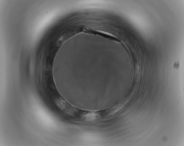 X0000091490383200709061906