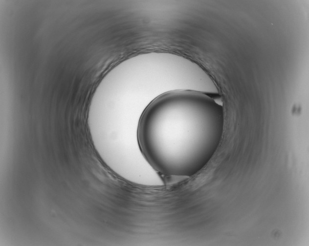 X0000091490384200709061906