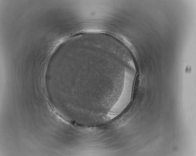 X0000091490385200709061905