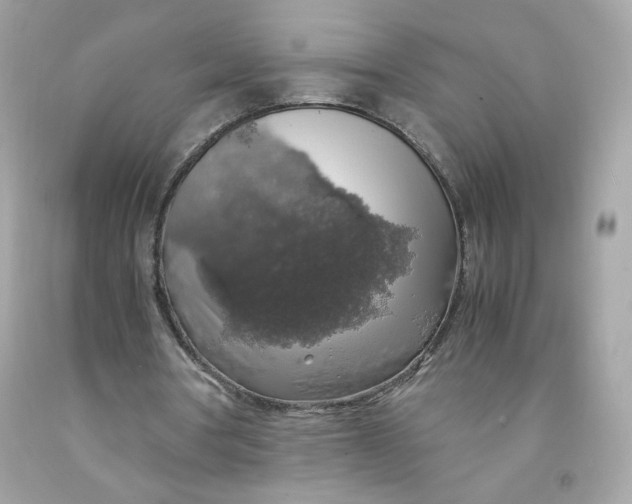 X0000091490386200709061905