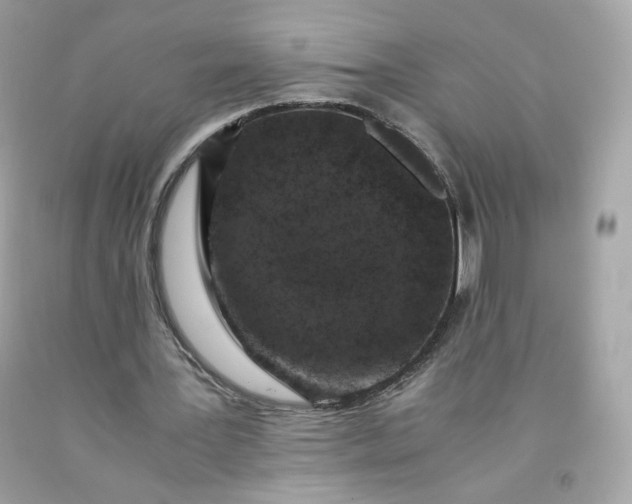 X0000091490387200709061905