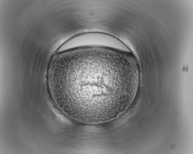 X0000091490389200709061905