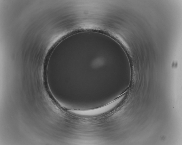 X0000091490391200709061905