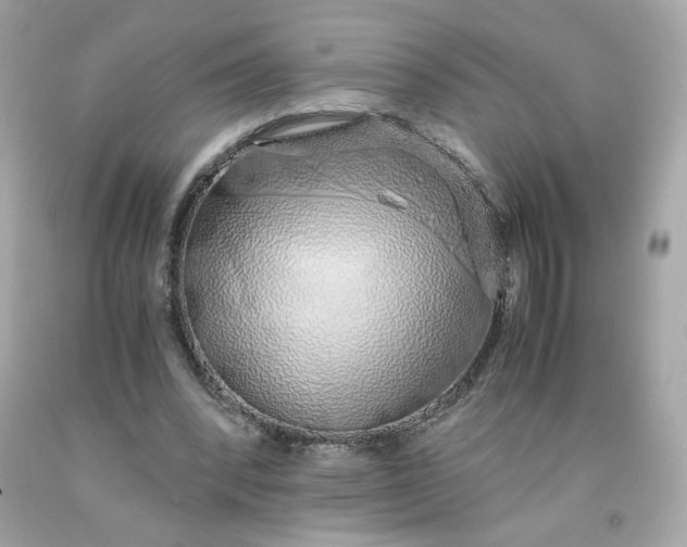 X0000091490392200709061905