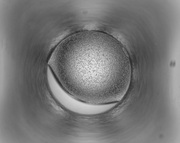 X0000091490393200709061905