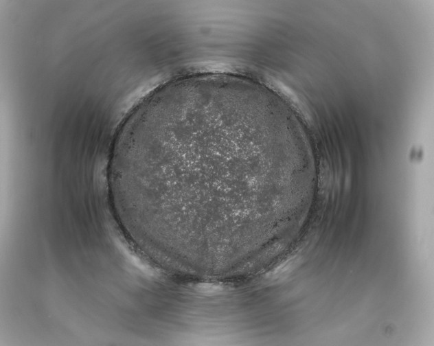 X0000091490394200709061905