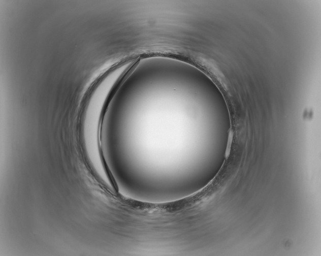 X0000091490395200709061905