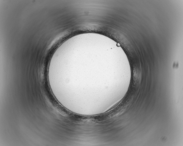 X0000091490396200709061905