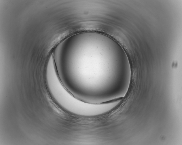 X0000091490397200709061905