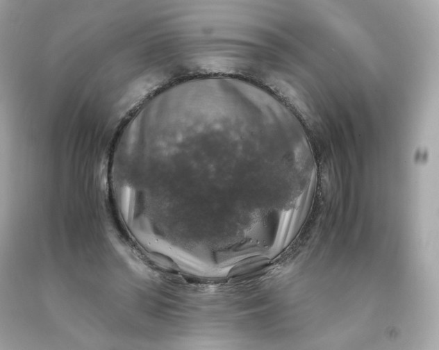 X0000091490398200709061905