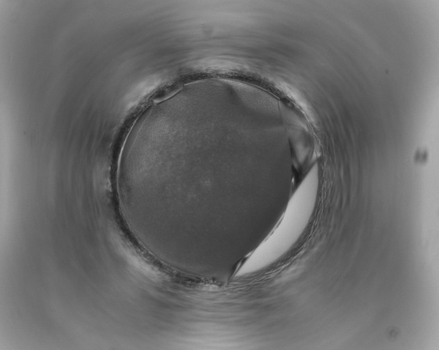 X0000091490399200709061905