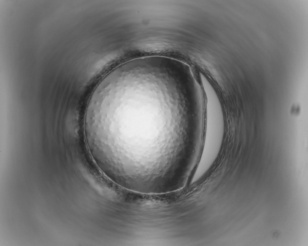 X0000091490400200709061905