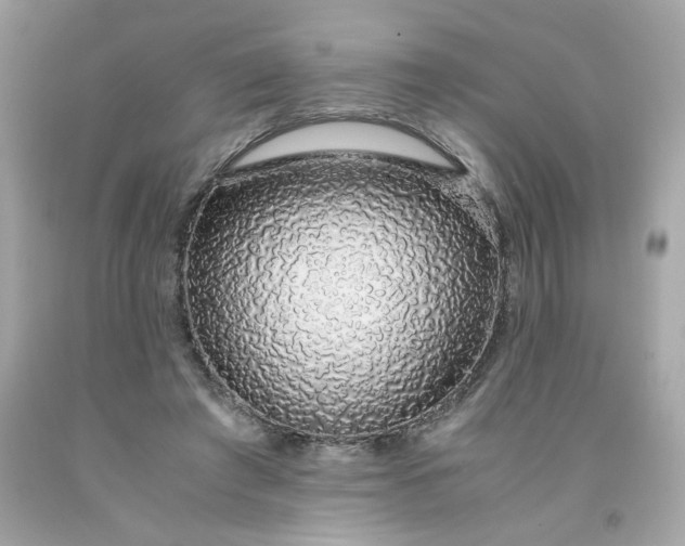 X0000091490401200709061905