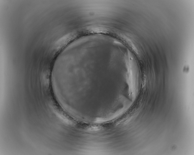 X0000091490402200709061905