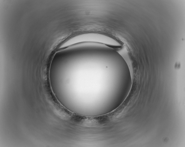 X0000091490403200709061905