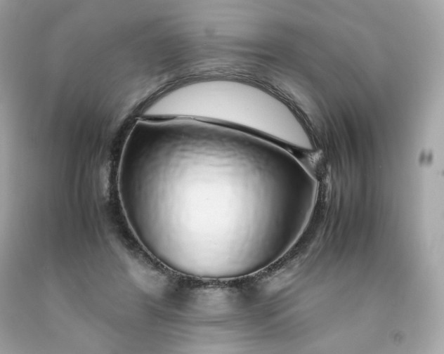 X0000091490404200709061905