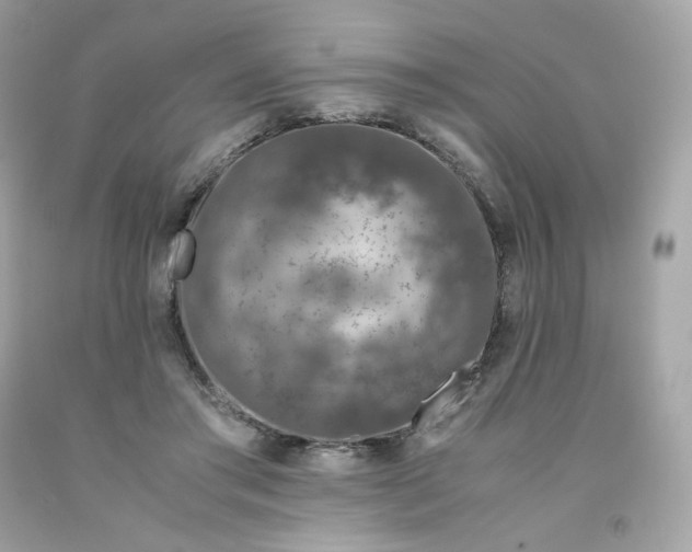 X0000091490405200709061905