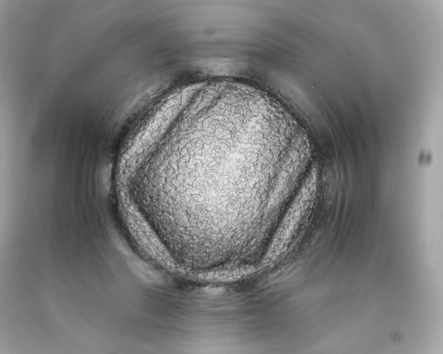 X0000091490406200709061905