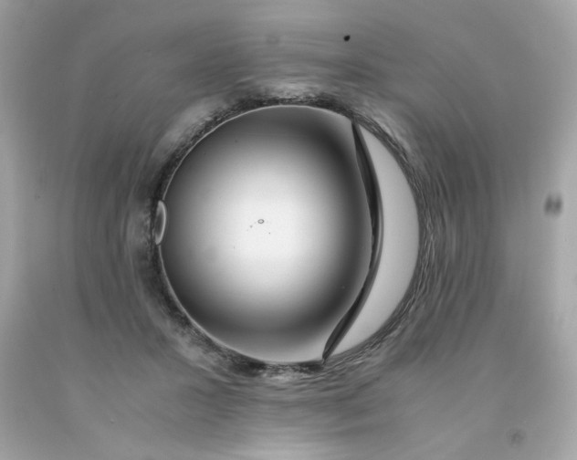 X0000091490407200709061905