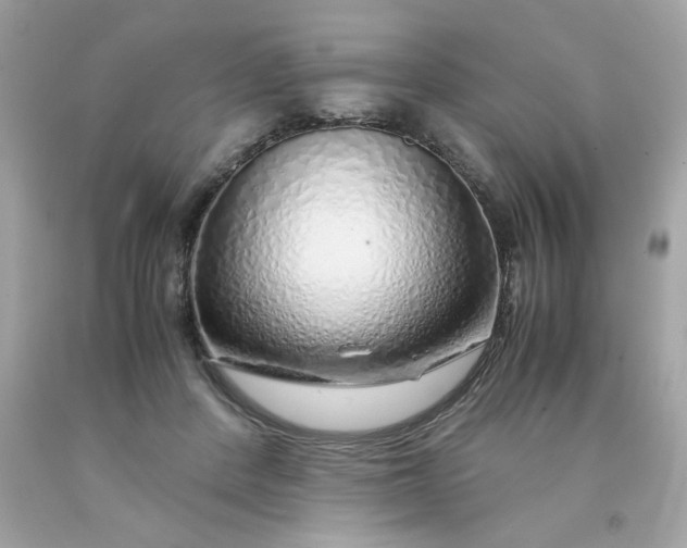 X0000091490408200709061905