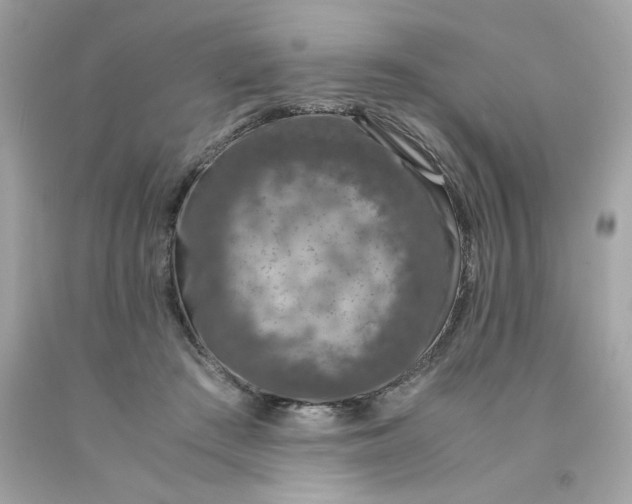 X0000091490409200709061905