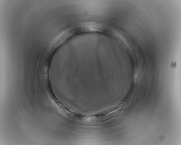 X0000091490410200709061905