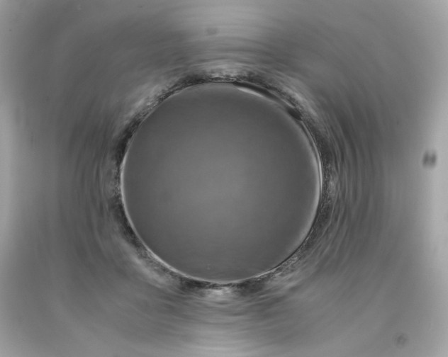 X0000091490411200709061905