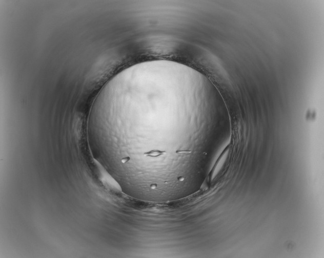 X0000091490412200709061905