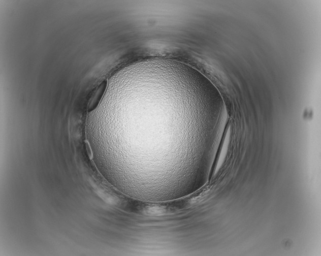 X0000091490413200709061905