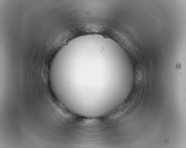 X0000091490414200709061905