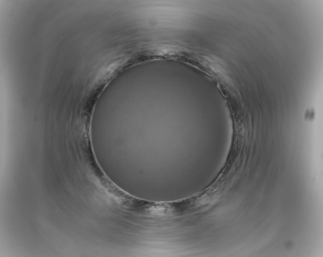 X0000091490415200709061905