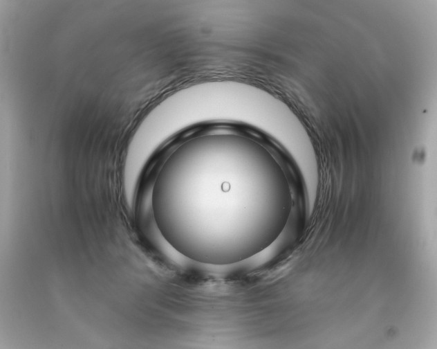 X0000091490416200709061905