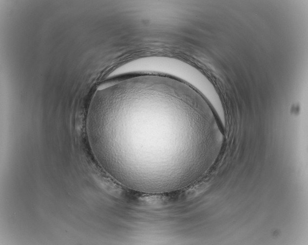 X0000091490417200709061905