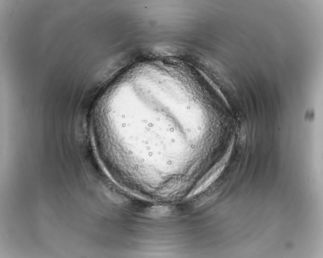 X0000091490418200709061905