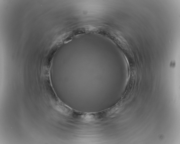 X0000091490419200709061905