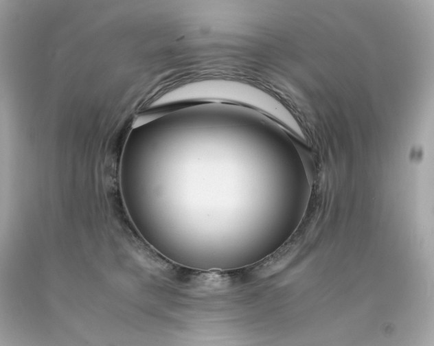 X0000091490421200709061905