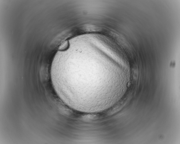 X0000091490422200709061905