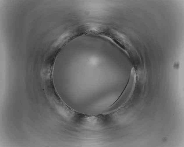 X0000091490423200709061905