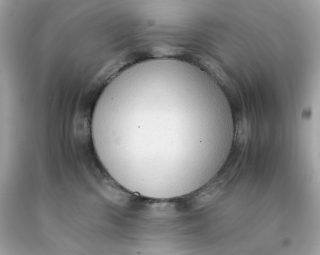 X0000091490426200709061905