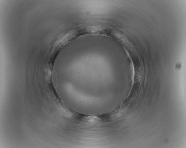 X0000091490427200709061905