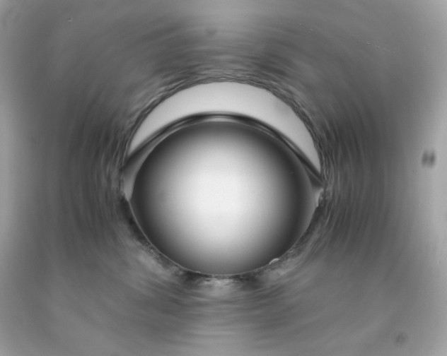 X0000091490428200709061905